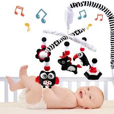 Baby Mobility and Fun