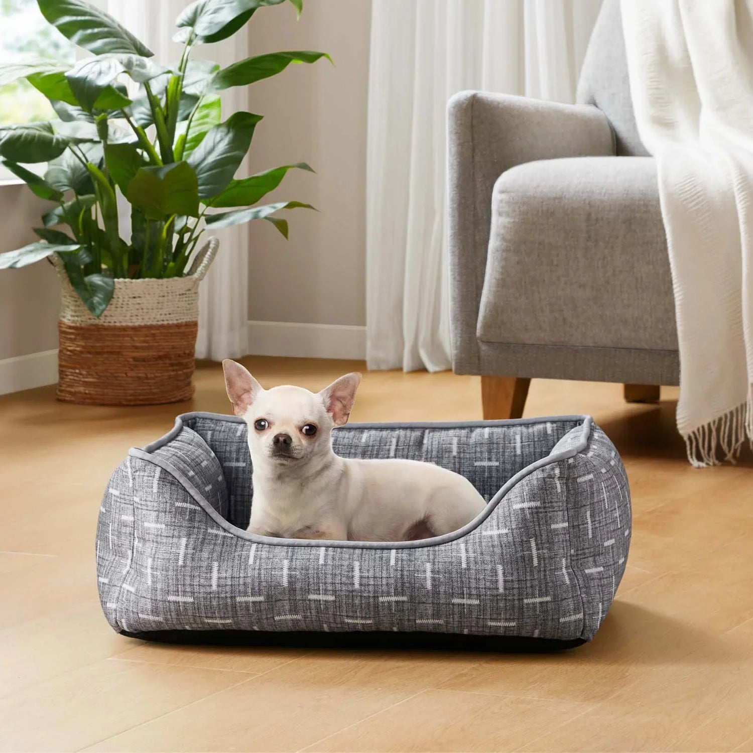Pet Beds and Blankets