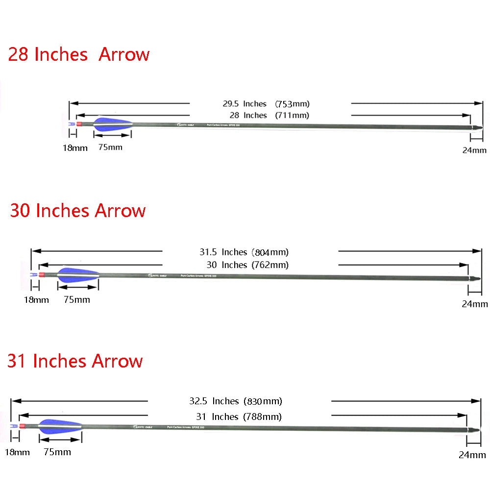 28/30/31 Inch Pure Carbon Arrows Spine 300 400 Hunting with Replaceable Arrowhead for Compound  Recurve Traditional Bow Target