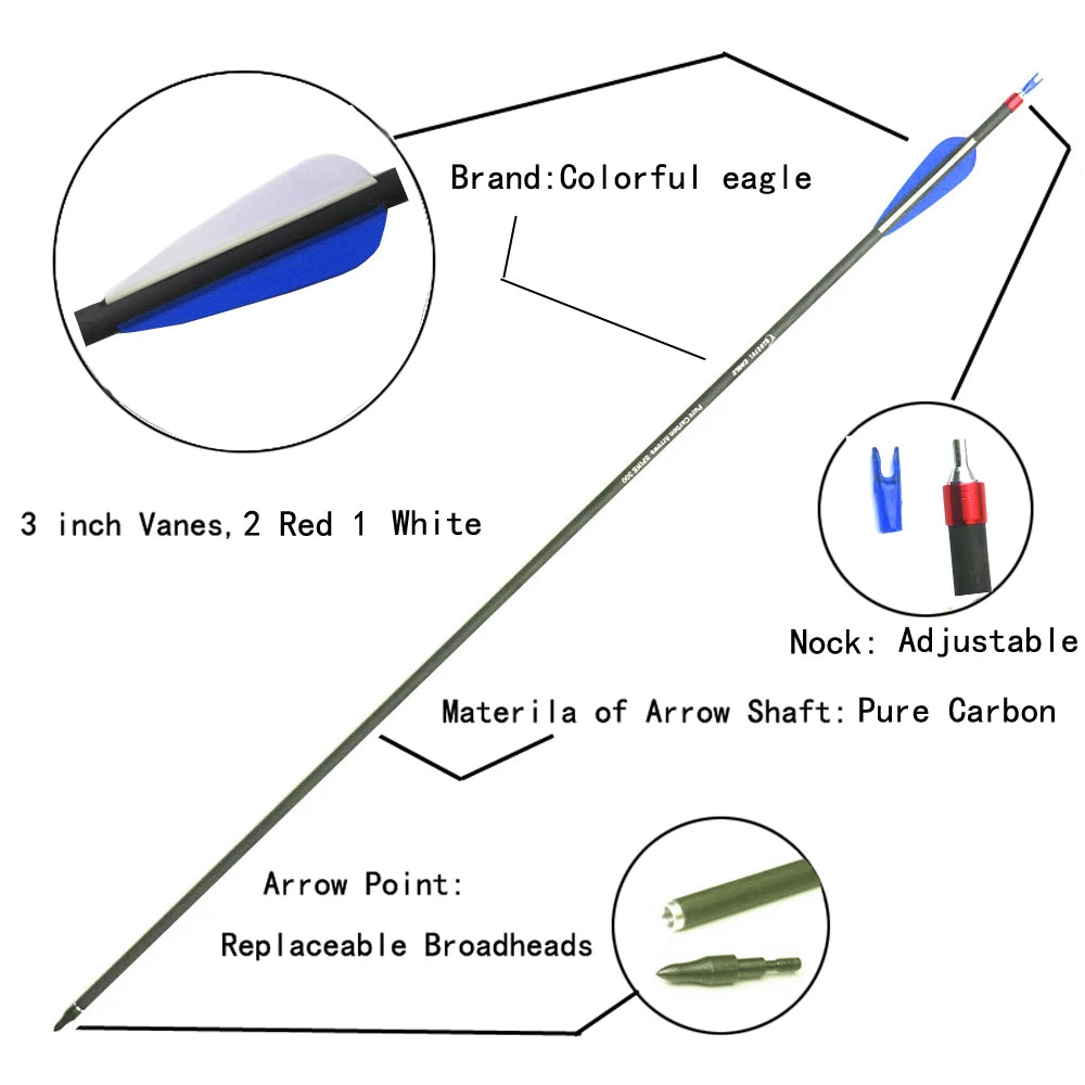 28/30/31 Inch Pure Carbon Arrows Spine 300 400 Hunting with Replaceable Arrowhead for Compound  Recurve Traditional Bow Target