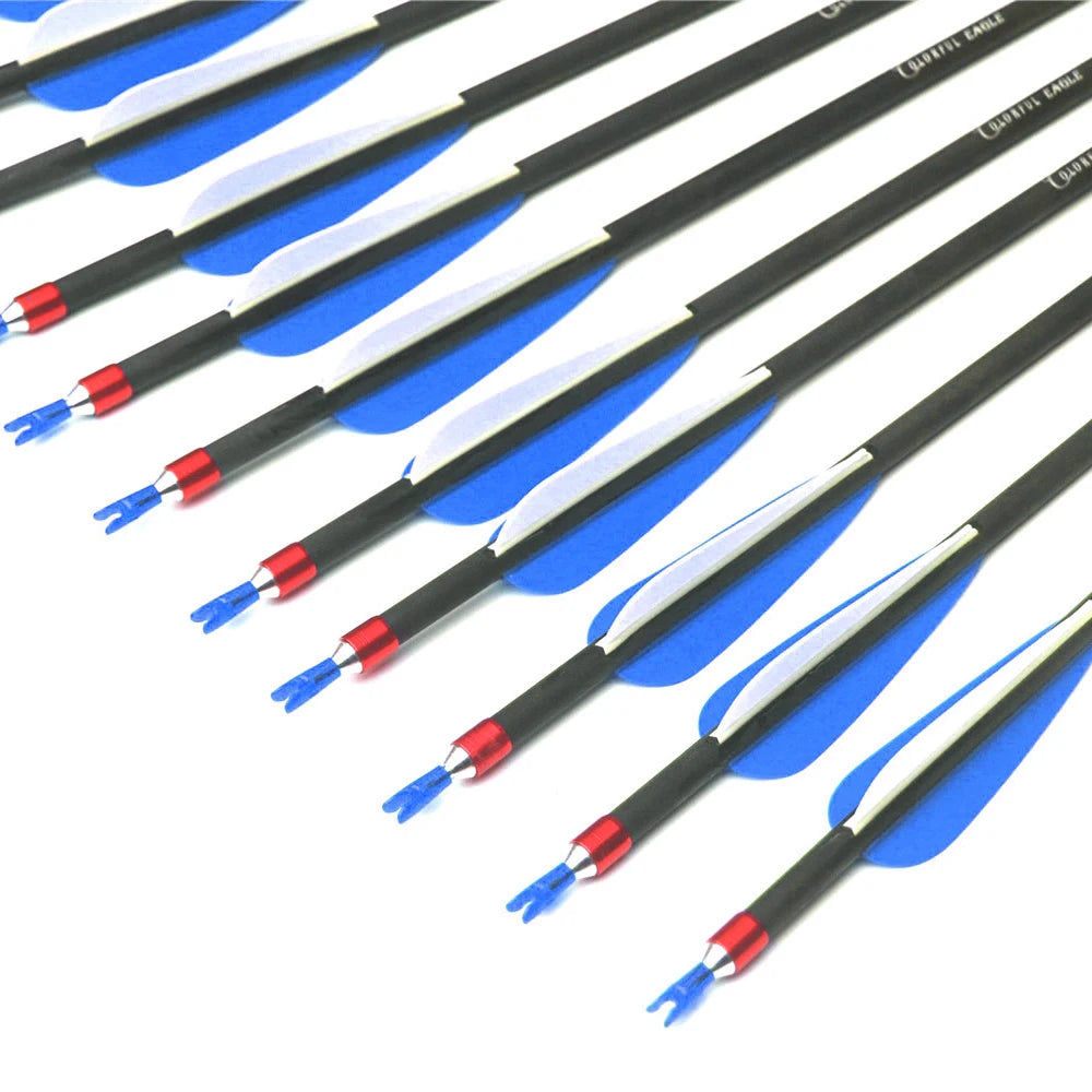 28/30/31 Inch Pure Carbon Arrows Spine 300 400 Hunting with Replaceable Arrowhead for Compound  Recurve Traditional Bow Target