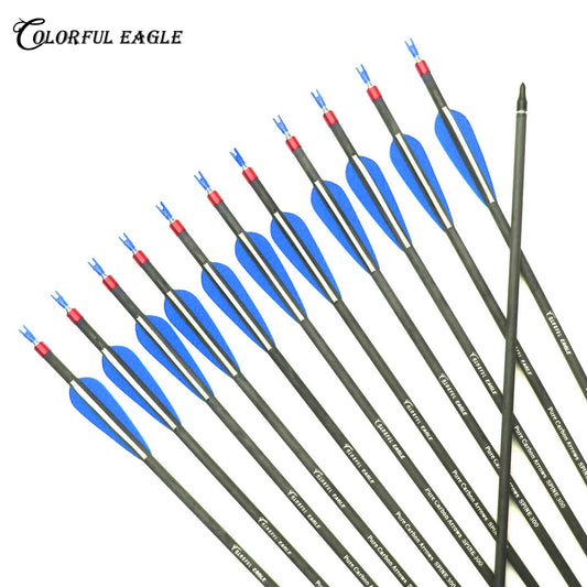 28/30/31 Inch Pure Carbon Arrows Spine 300 400 Hunting with Replaceable Arrowhead for Compound  Recurve Traditional Bow Target